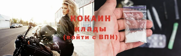 молекула духа Покровск