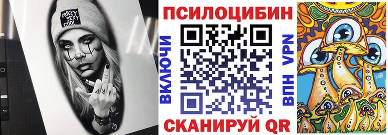 Галлюциногенные грибы Psilocybine cubensis  закладки  Дятьково 
